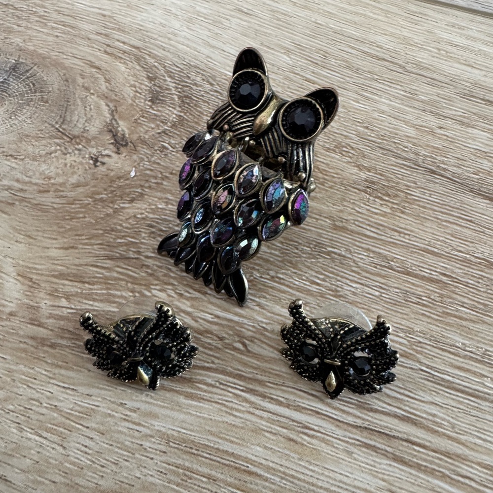 ❤️Owl Brooch and Earrings Set
